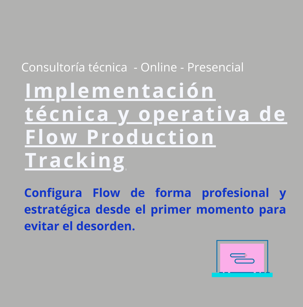 Consultoría Implementación técnica y operativa de Flow Production Tracking